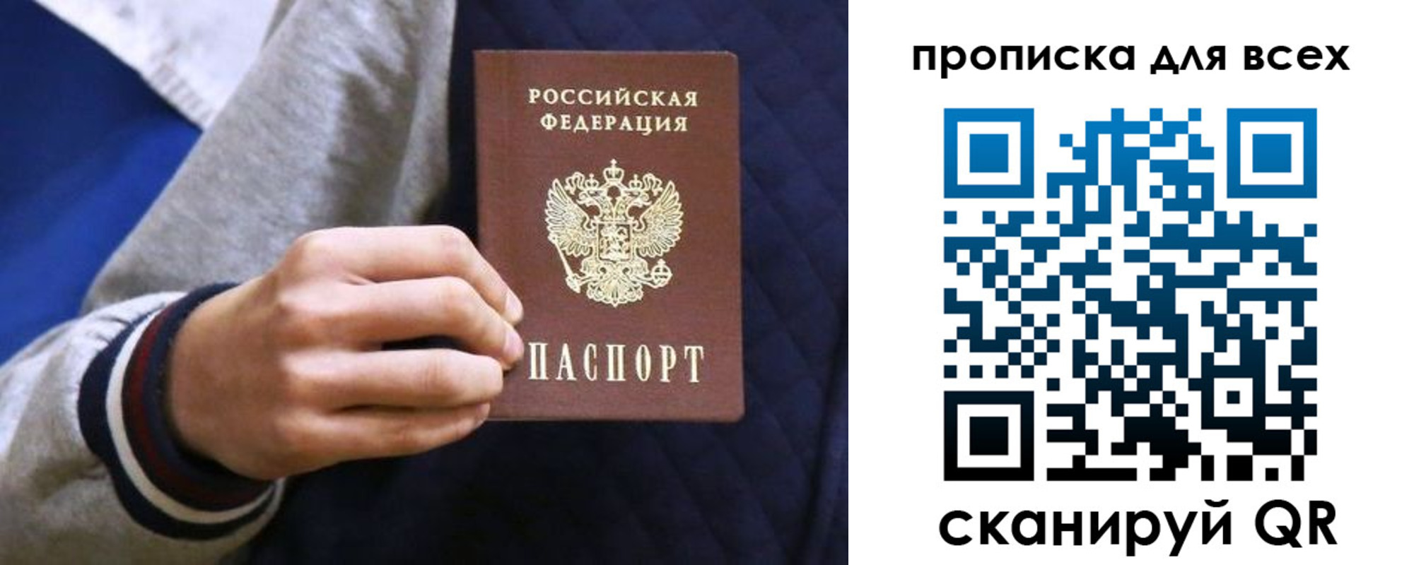 прописка гарантия в Ясном